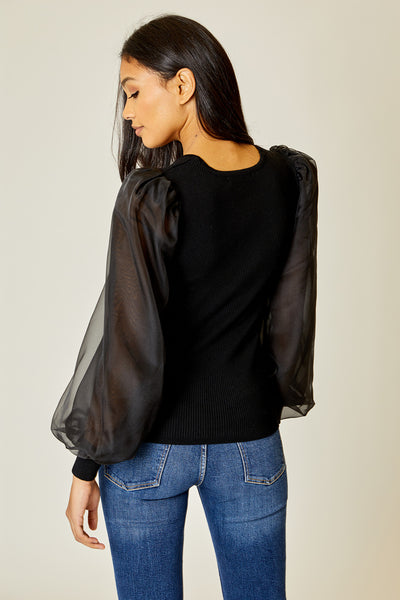 Organza Sleeve Top