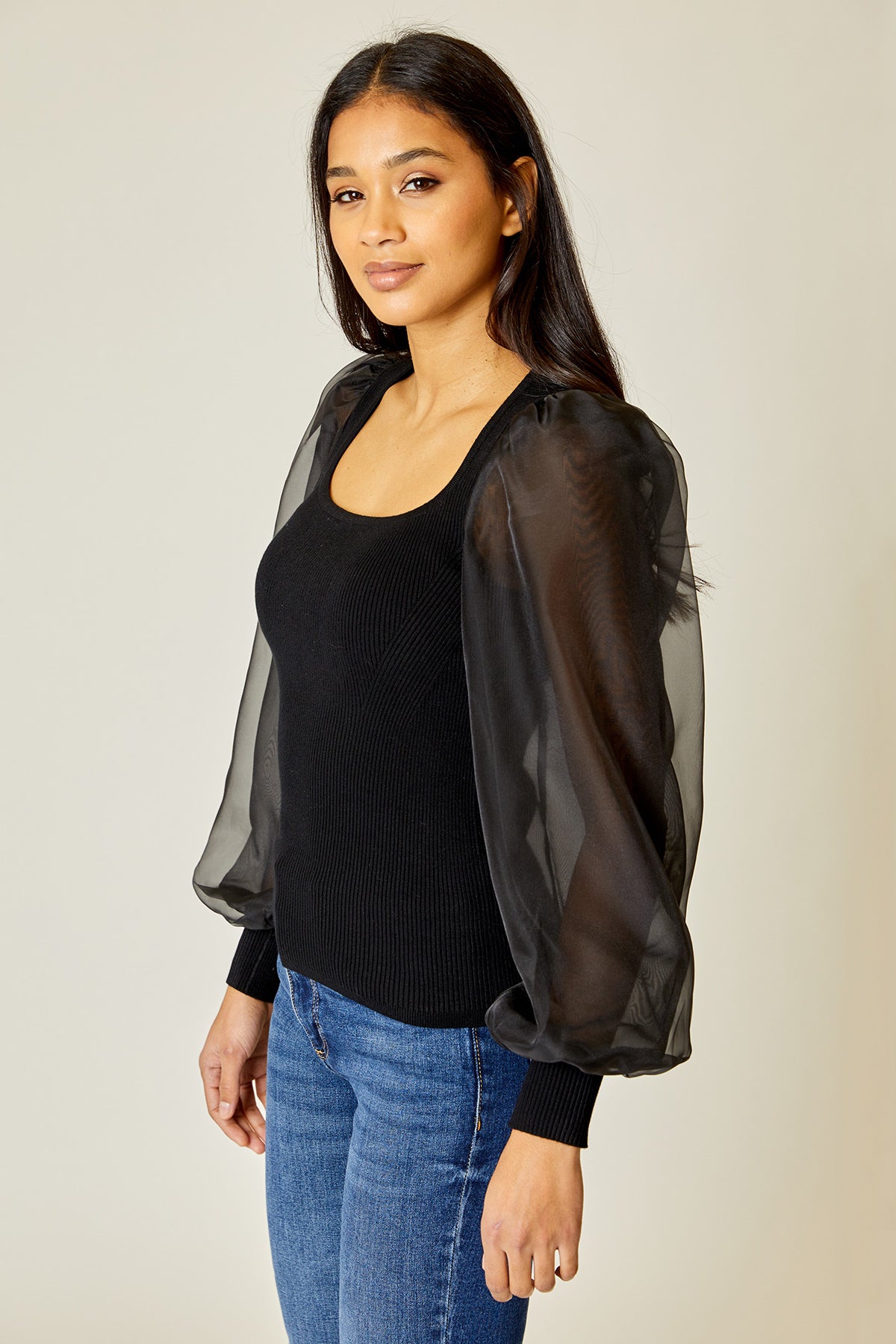 Organza Sleeve Top