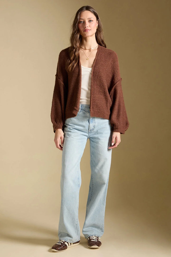 Aden Cardi
