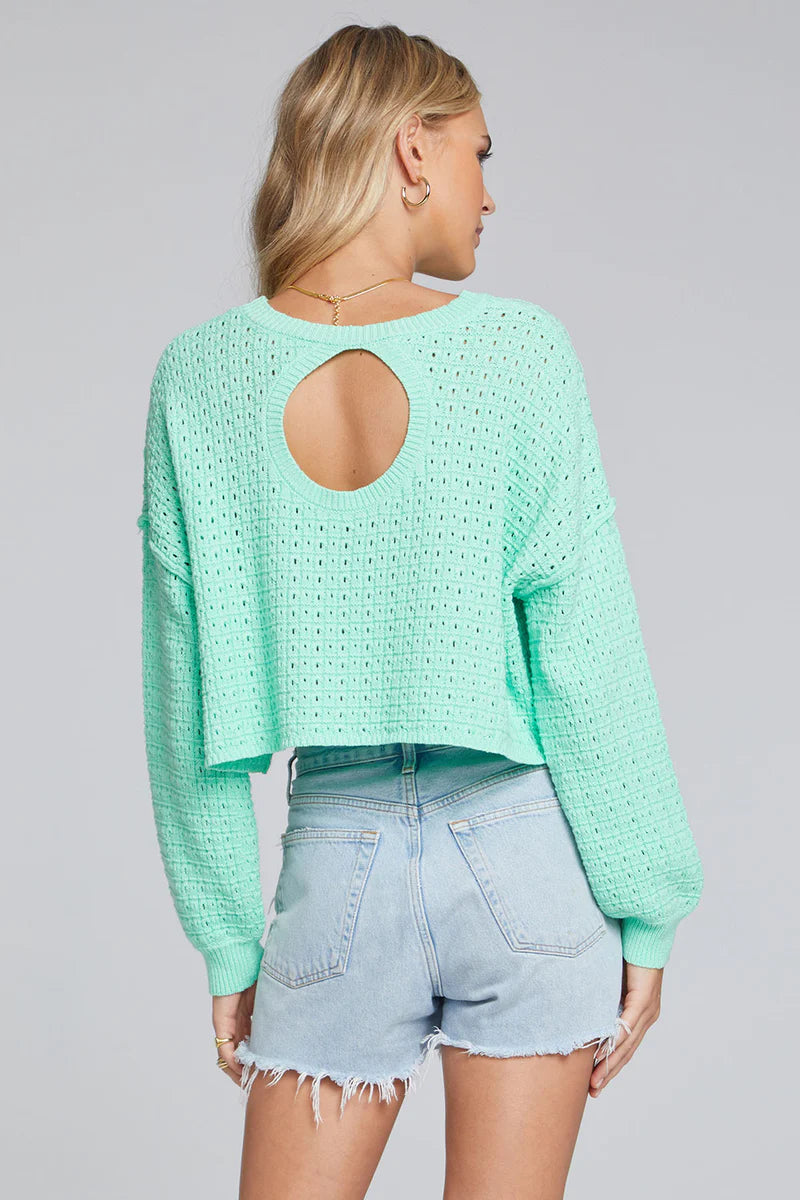 Louise Pointelle Sweater