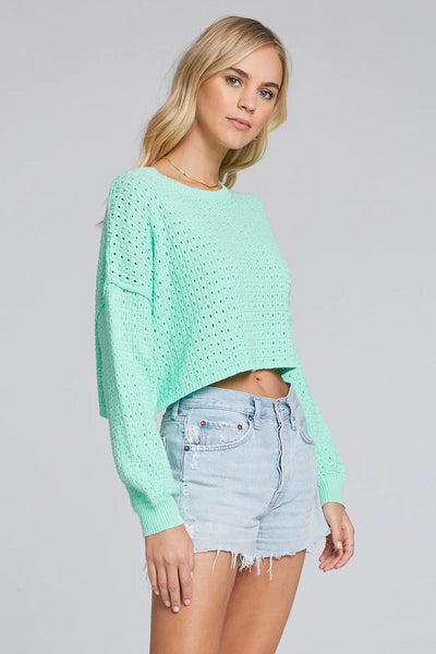 Louise Pointelle Sweater