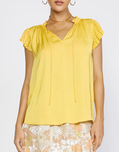 Pleated Sleeve Top